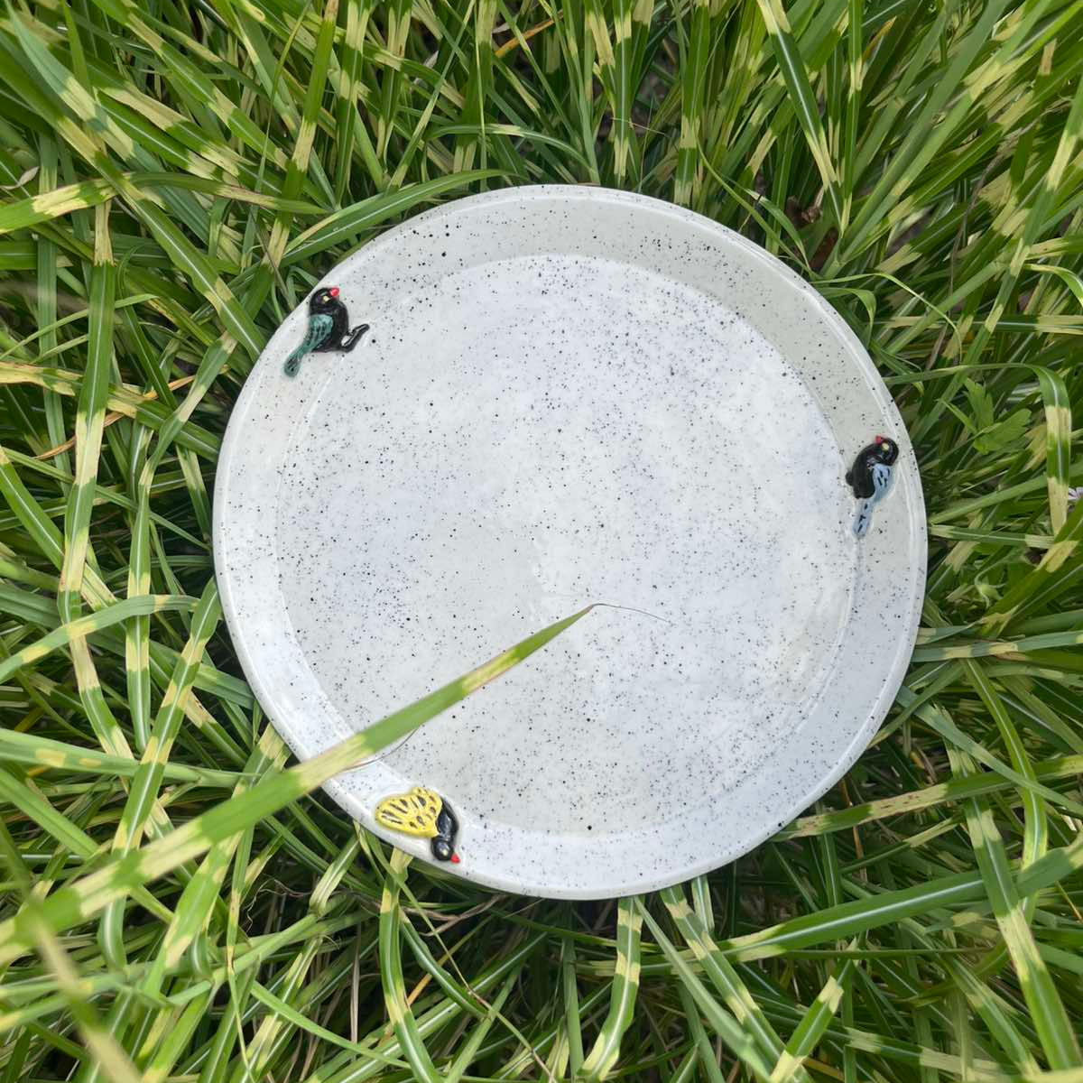 Serviravimo lėkštė "Paukšteliai"